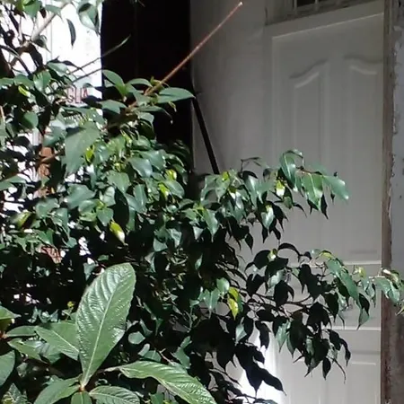 度假居 Metro Montesanto 那不勒斯